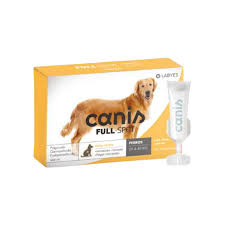 Canis fullspot perro