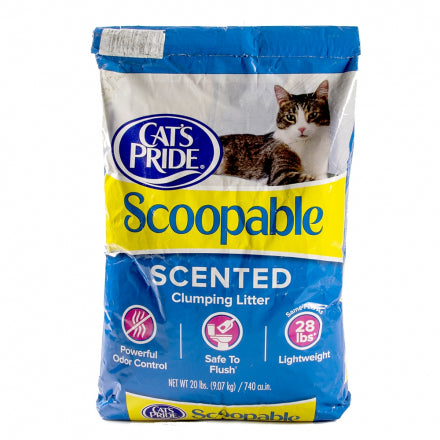 CATS PRIDE - Arena scoopable