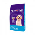 GUAUMOR - Cachorro raza mediana y grande