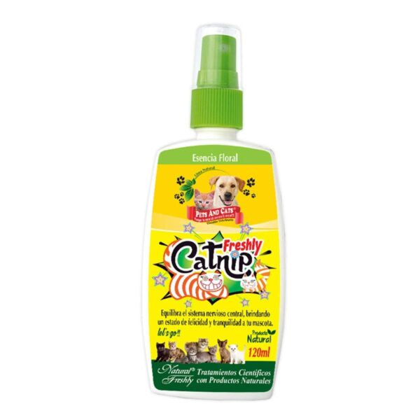 PETS AND CATS - Freshly catnip