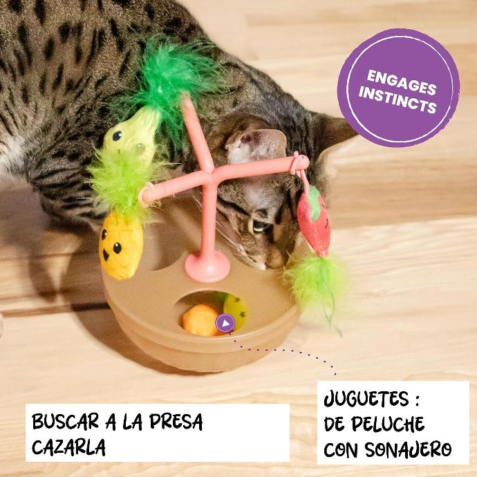 CATSTAGES - Mindgames hunt wobble fruit bowl