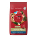 ONE - Cachorro (Pollo y carne)