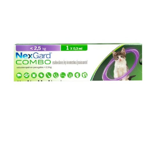 NEXGARD - Gato combo