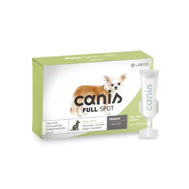 Canis fullspot perro