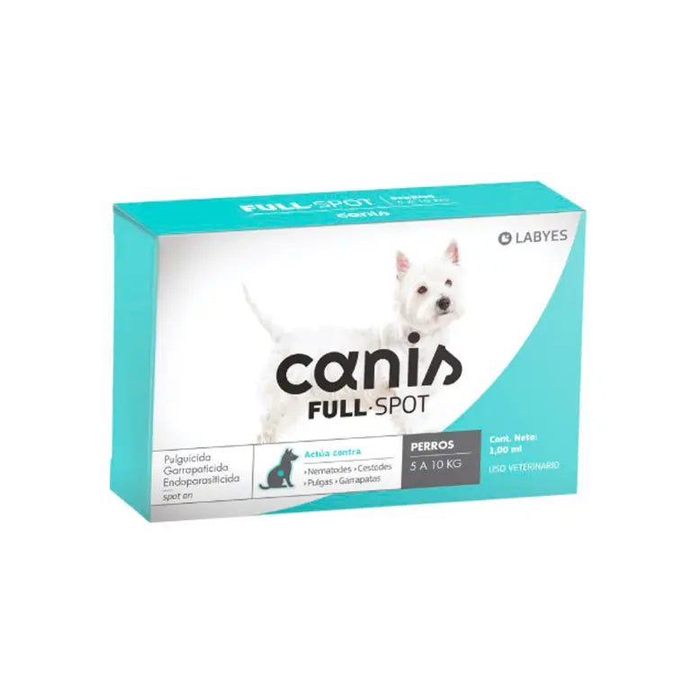 Canis fullspot perro