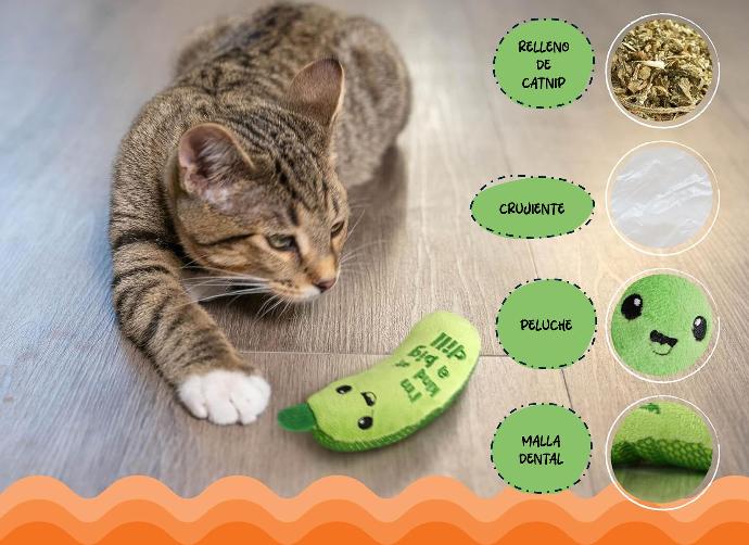 CATSTAGES -  Frisky crunchy pickle kicker