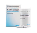 Gastricumeel comprimidos