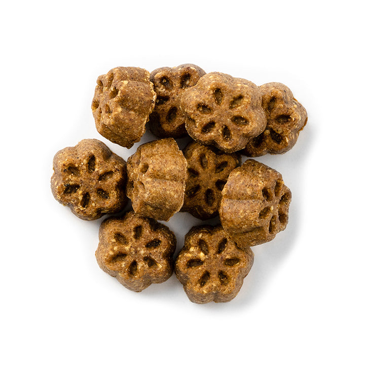 FRUITABLES - Skinni minis perro (Calabaza y mango)