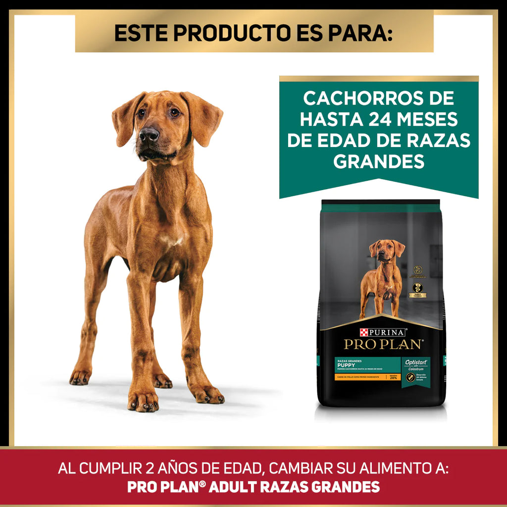 PRO PLAN - Puppy raza grande