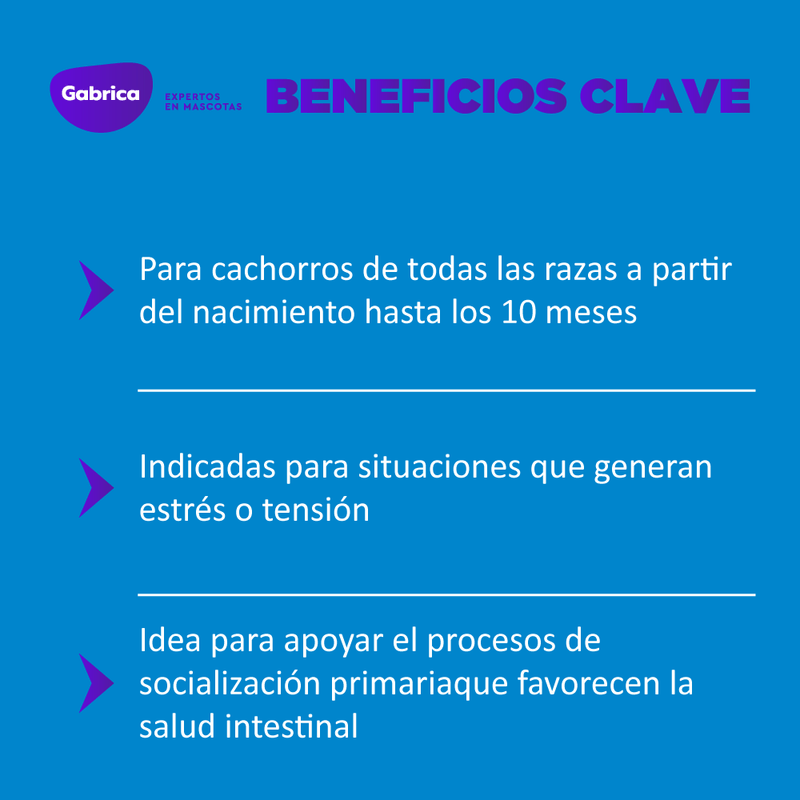 Esencias florales de bach: Apoyando la crianza (Perro)