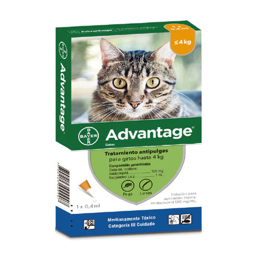 Advantage pipeta gatos
