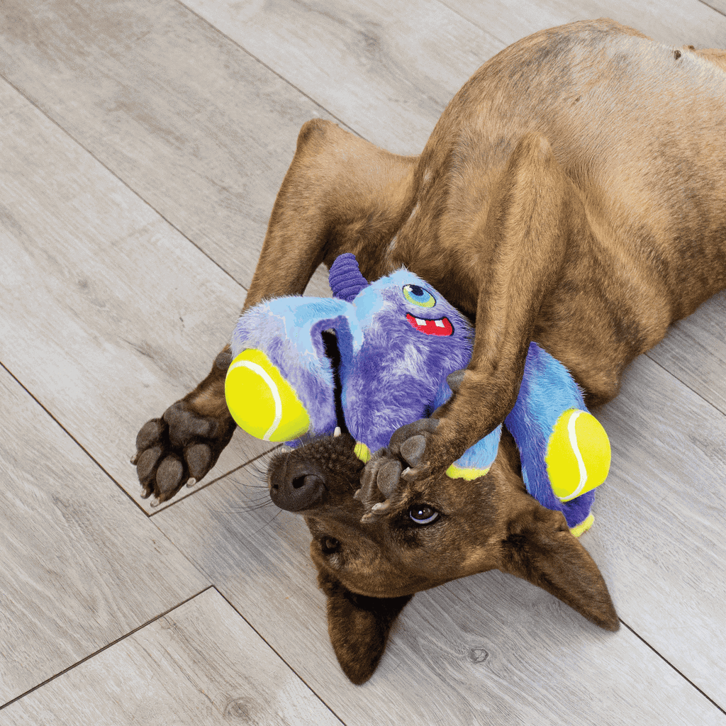 KONG - Peluche woozles monster