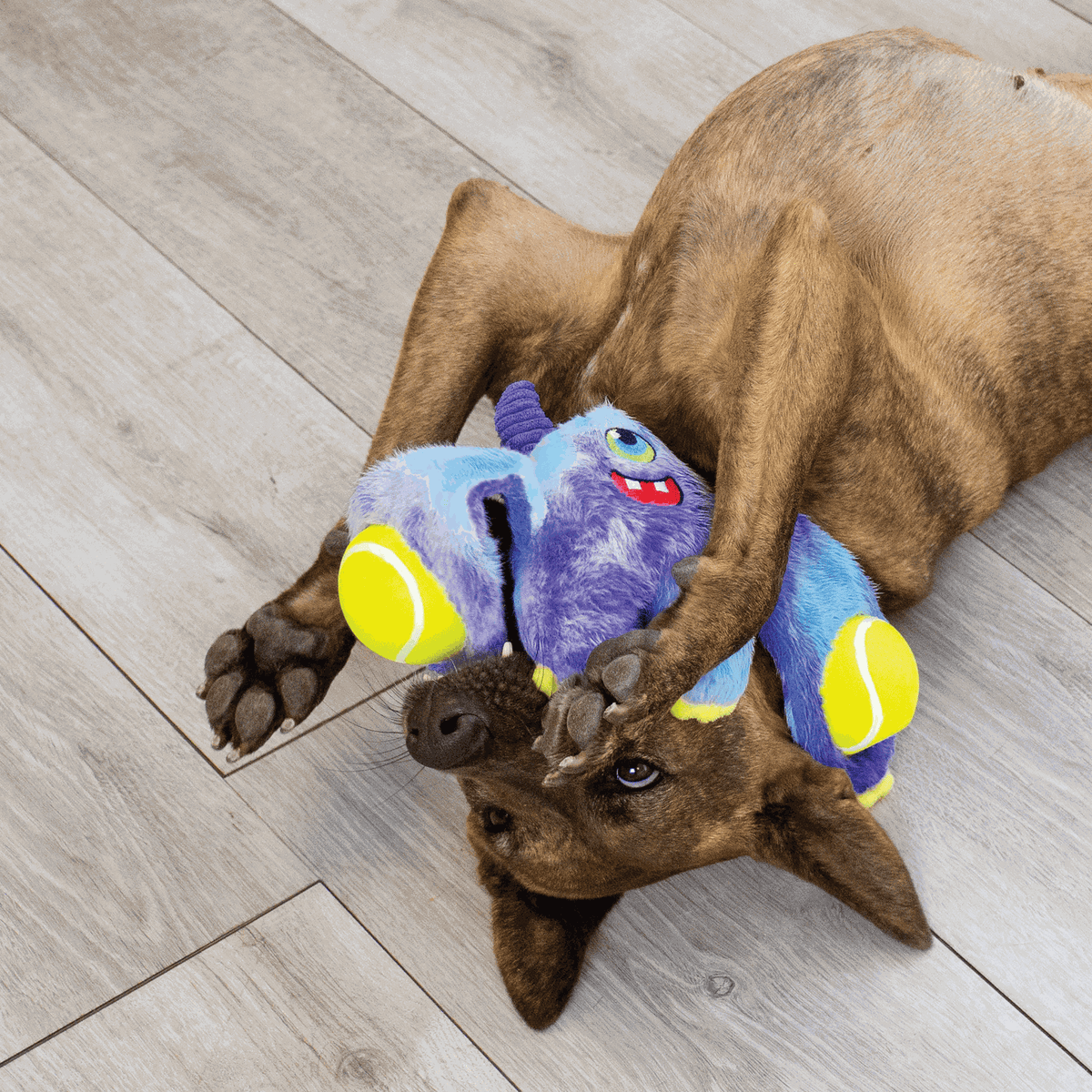KONG - Peluche woozles monster