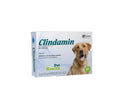 Clindamin x 20 tabletas