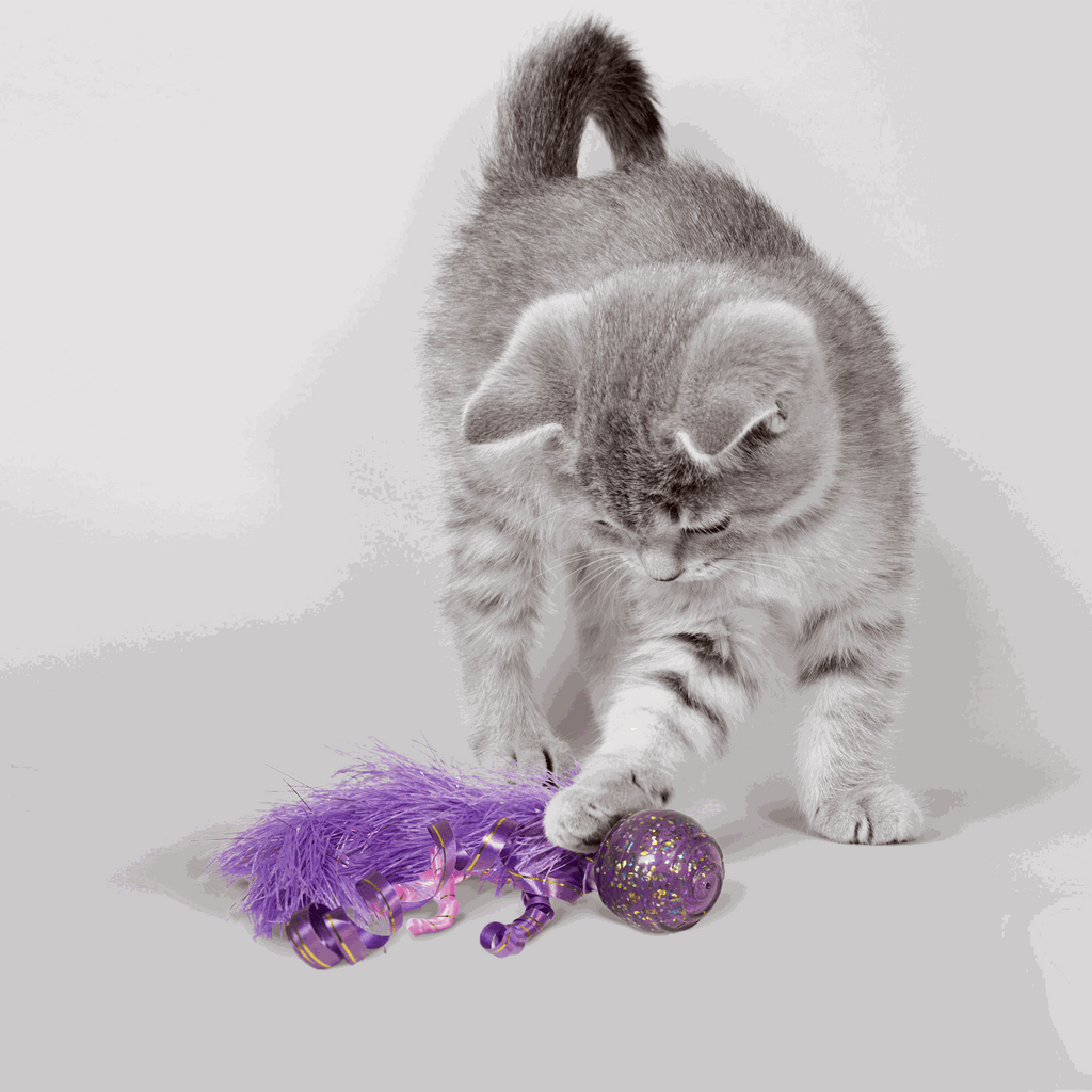 KONG - Juguete pelota confeti para gato