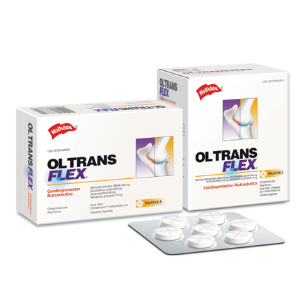 HOLLIDAY - Ol trans flex