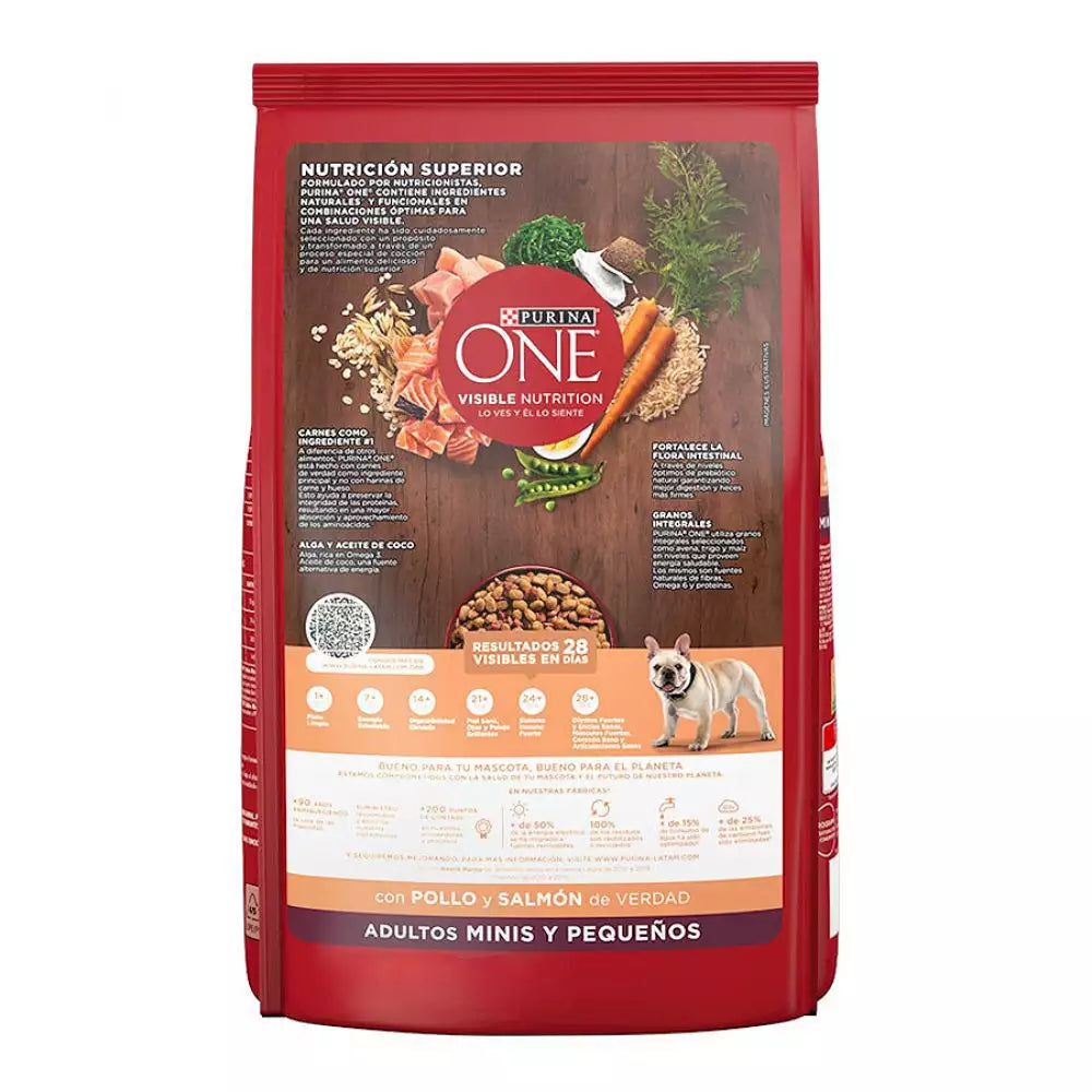 ONE - Adulto raza mini y pequeña (Pollo y salmón)