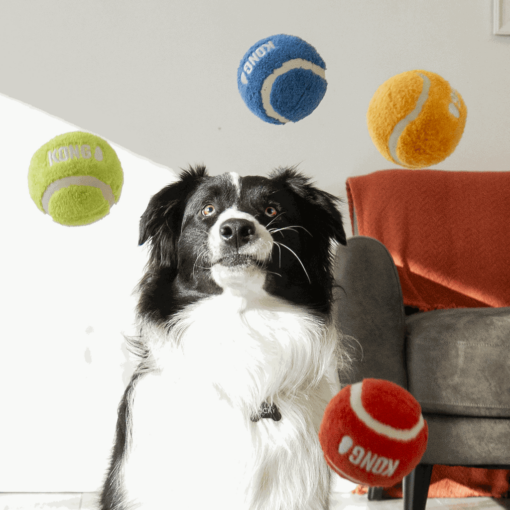 KONG - Pelota Softies sport